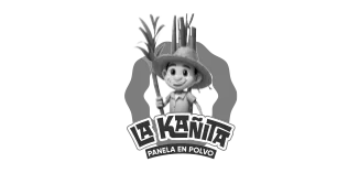 Diseñador gráfico freelance